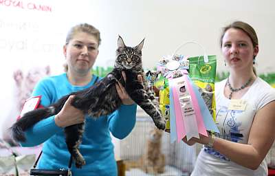 �������� ����� 11-12 ������ 2015, ������������ ���  mco-38-169A3981 copy.jpg